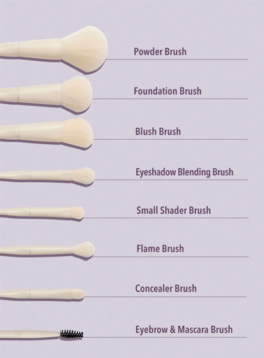 PRO CORE BRUSH KIT