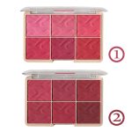 پالت رژگونه 6 رنگ بلاش chanlanya