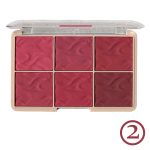 پالت رژگونه 6 رنگ بلاش chanlanya