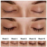 سرم تقویت مژه و ابرو جدید لانبنا lanbena - Image 3