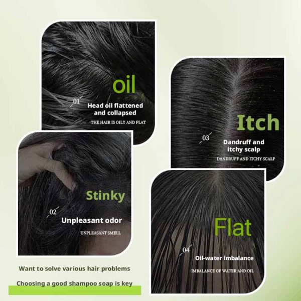 صابون کنترل چربی و ضد شوره مو گیاهی Hanaboli - Image 2