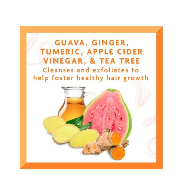 اسکراب لایه بردار و پاکسازی کف سر گوآوا و زنجبیل کانتو Cantu مدل Pre-Cleanse Treatment حجم 180ml - Image 3