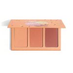 پالت رژگونه Sweet cheeks شیگلم مدل Private Cabana