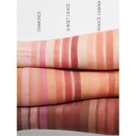 پالت رژگونه Sweet cheeks شیگلم مدل Private Cabana - Image 3