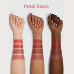 رژلب 4 در 1 مدل مگا شیگلم رنگ Petal Stack - Image 2
