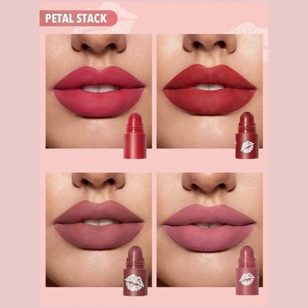 رژلب 4 در 1 مدل مگا شیگلم رنگ Petal Stack - Image 3