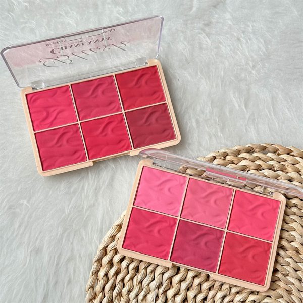 پالت رژگونه 6 رنگ بلاش chanlanya - Image 4