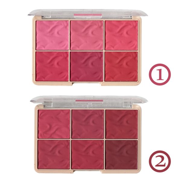 پالت رژگونه 6 رنگ بلاش chanlanya - Image 2