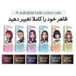 شامپو رنگ مو شانه دار دکسی Dexe حجم 200ml - Image 5