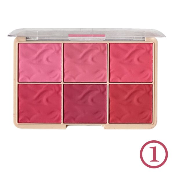 پالت رژگونه 6 رنگ بلاش chanlanya - Image 5