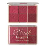 پالت رژگونه 6 رنگ بلاش chanlanya