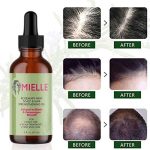 روغن ضد ریزش و تغذیه کننده مو رزماری و نعناع میله Mielle مدل Organics Rosemary Mint Scalp & Hair حجم 59ml
