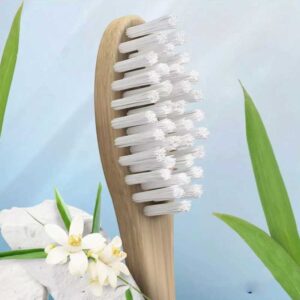 مسواک چوب بامبو اورال بی Oral B مدل Bamboo
