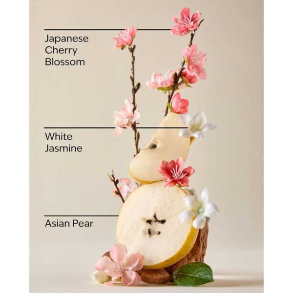 لوسیون بدن بث اند بادی Bath & Body مدل Japanese Cherry Blossom حجم 236ml