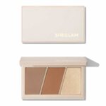 پالت کانتور و هایلایتر چند کاره شیگلم Sheglam مدل Tiro Hero Pallete
