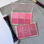 پالت رژگونه 6 رنگ Chanlanya Professional Makeup