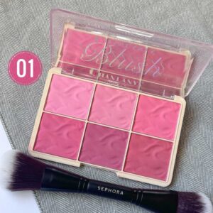 پالت رژگونه 6 رنگ Chanlanya Professional Makeup